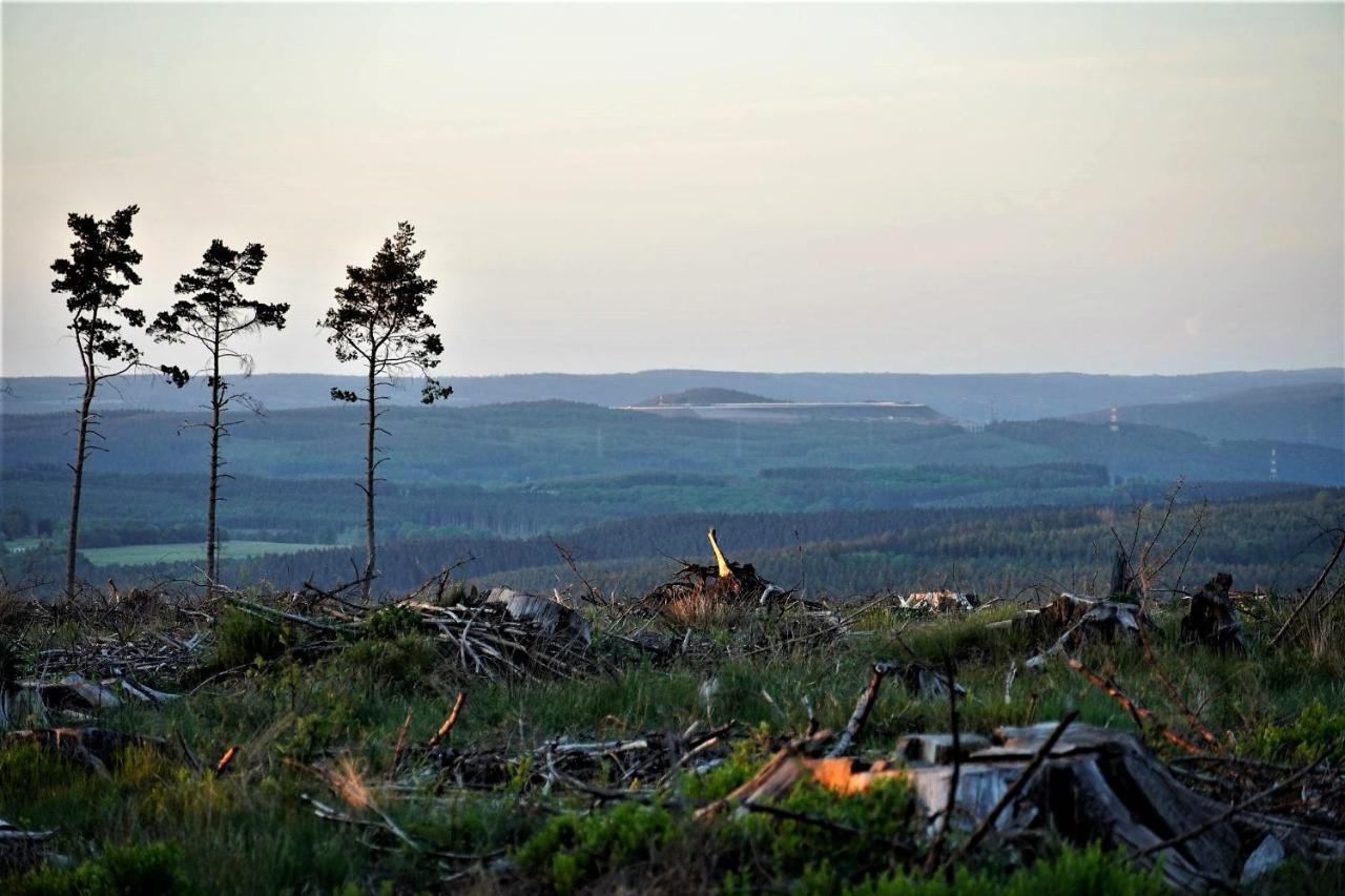 "Petite Perle En Haute Ardenne" Avec Vue Sur La Vallee, Cabine Infra-Rouge Et Bain Balneo Lierneux Eksteriør billede